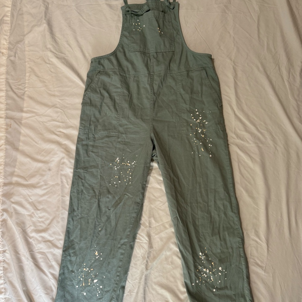 Aerie Painters Overalls L